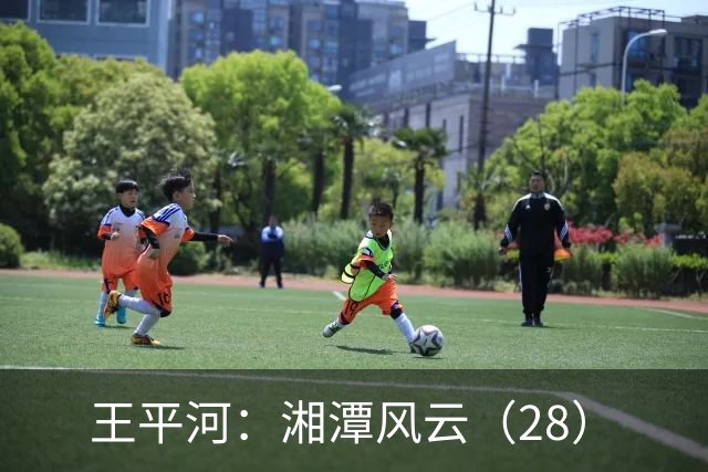 王平河：湘潭风云（2/8）